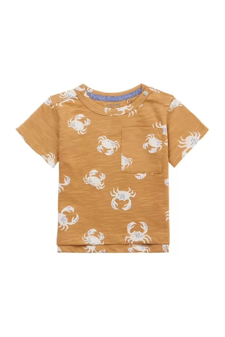 Shop Noppies T-shirt Mentor - Apple Cinnamon